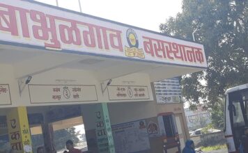 महिलेच्या पर्समधून एक लाखाची रोकड केली लंपास