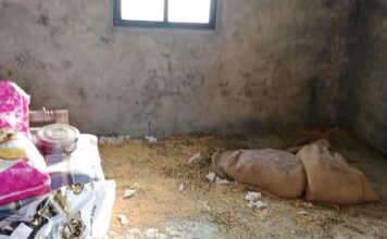 फाळेगावं येथे १.६० लाखाच्या सोयाबीनची चोरी.