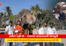 महादेवी हत्तीण वाद: 5 धक्कादायक कारणं Mahadevi Hattini Mahadevi Hattin , divyadrushti.news